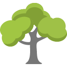 Round Rock Tree Trimming